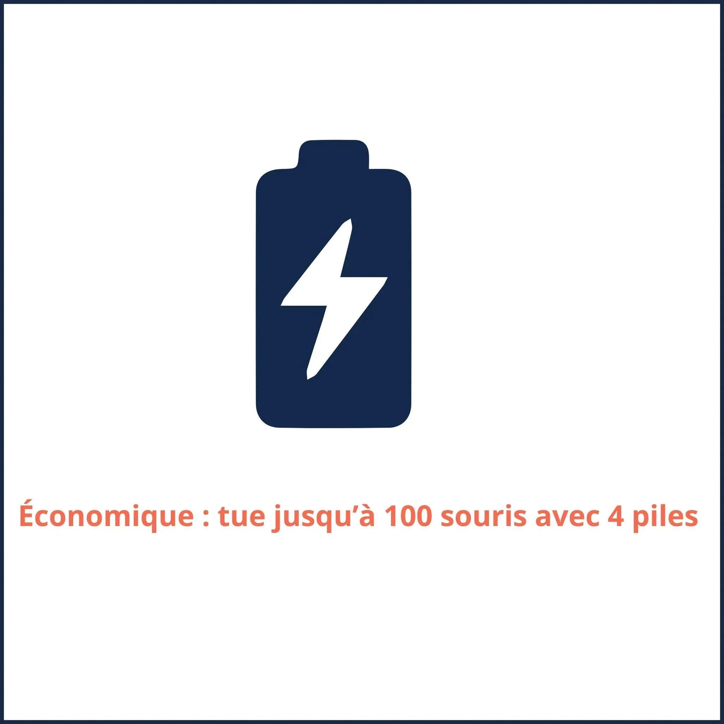 Piège souris électronique Victor multicapture sans souffrance animale, permet de tuer 100 souris sans changement de piles - Monsieur Madame Anti Nuisibles