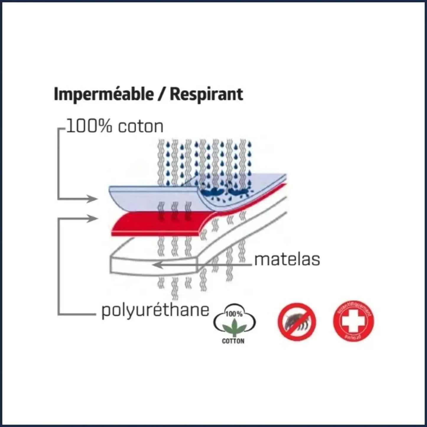 Housse de protection anti punaise de lit et acariens 160*200 - barrière de protection pour matelas contre les punaises de lit - Monsieur Madame Anti Nuisibles