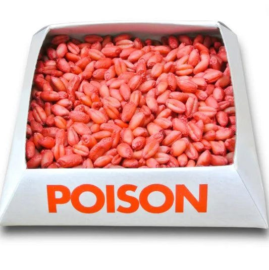 Guide Complet sur l'Utilisation des Rodenticides en Toute Sécurité